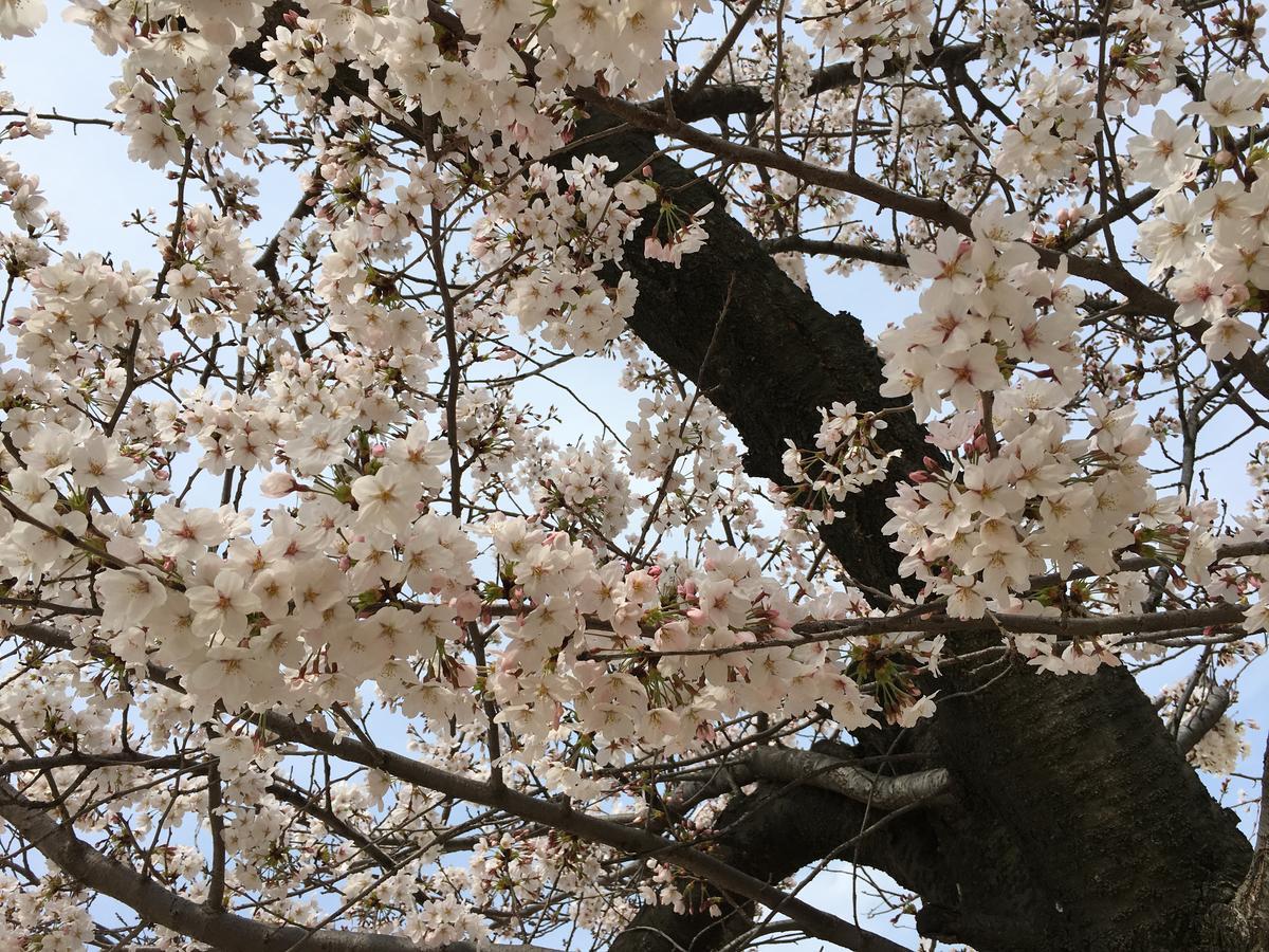 桜ノ宮タワーズホテル 大阪市 エクステリア 写真